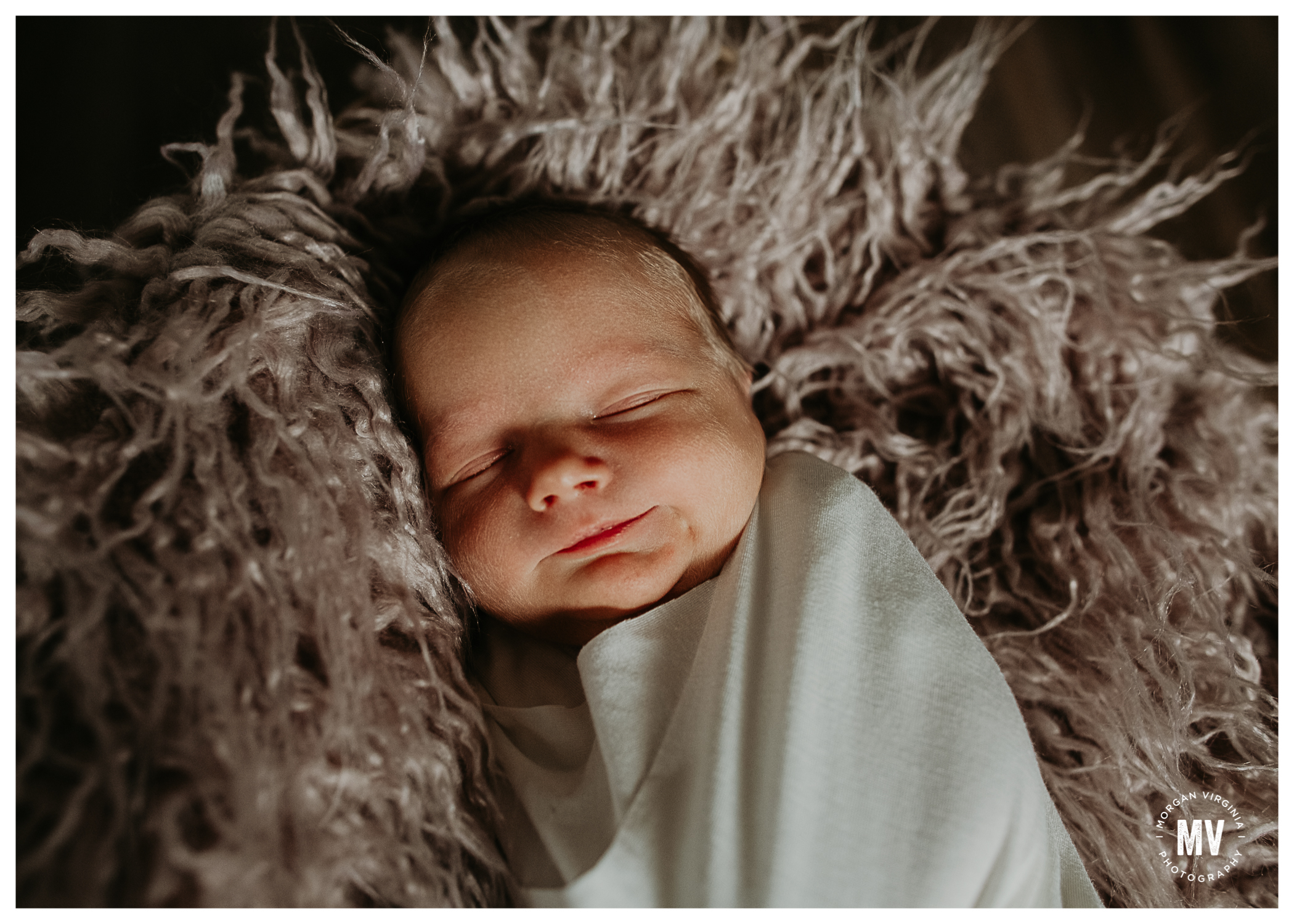 michigan in home twin newborn photographer morgan virginia photography