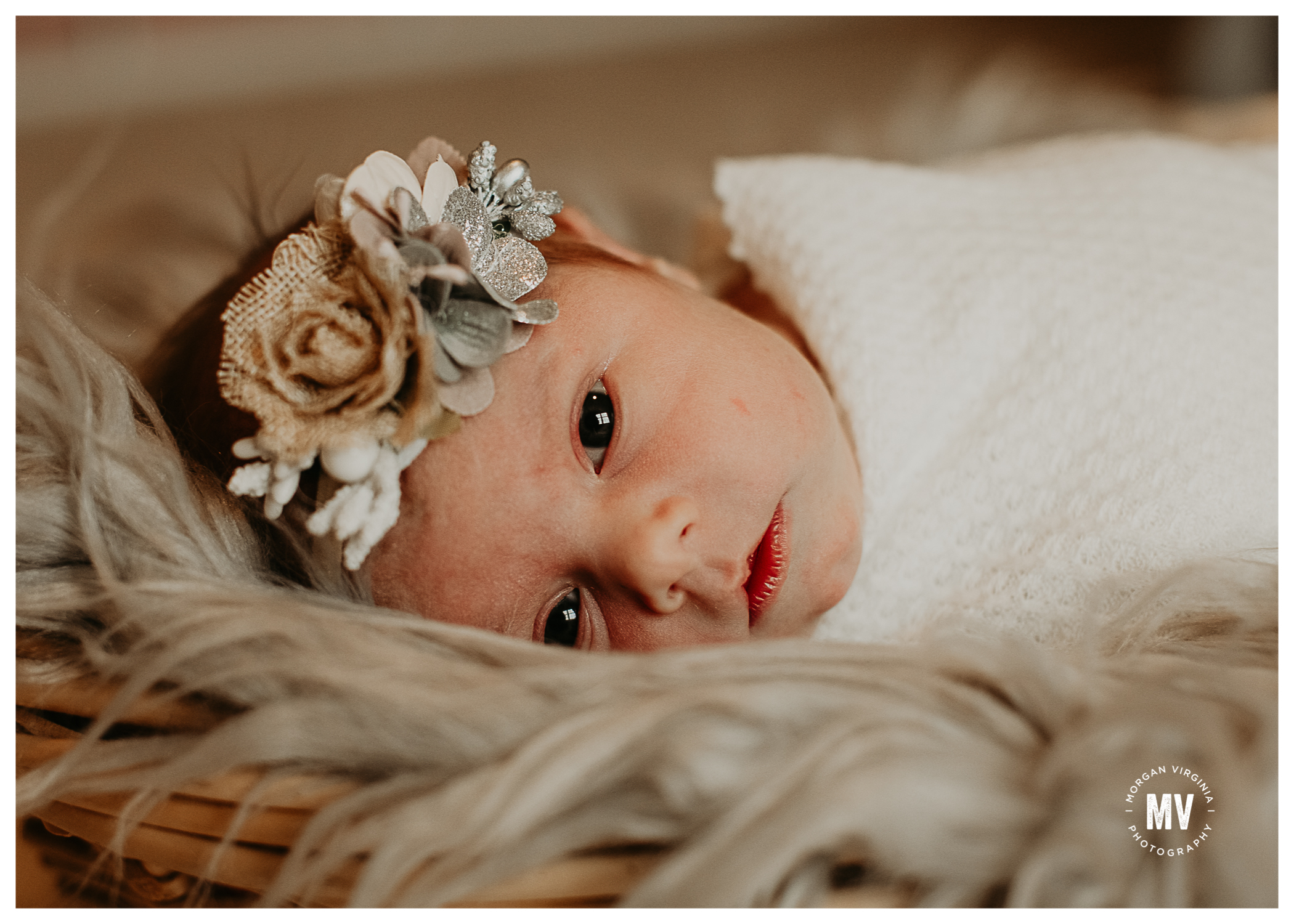 lily in home newborn photographer lake orion michigan morgan virginia photography