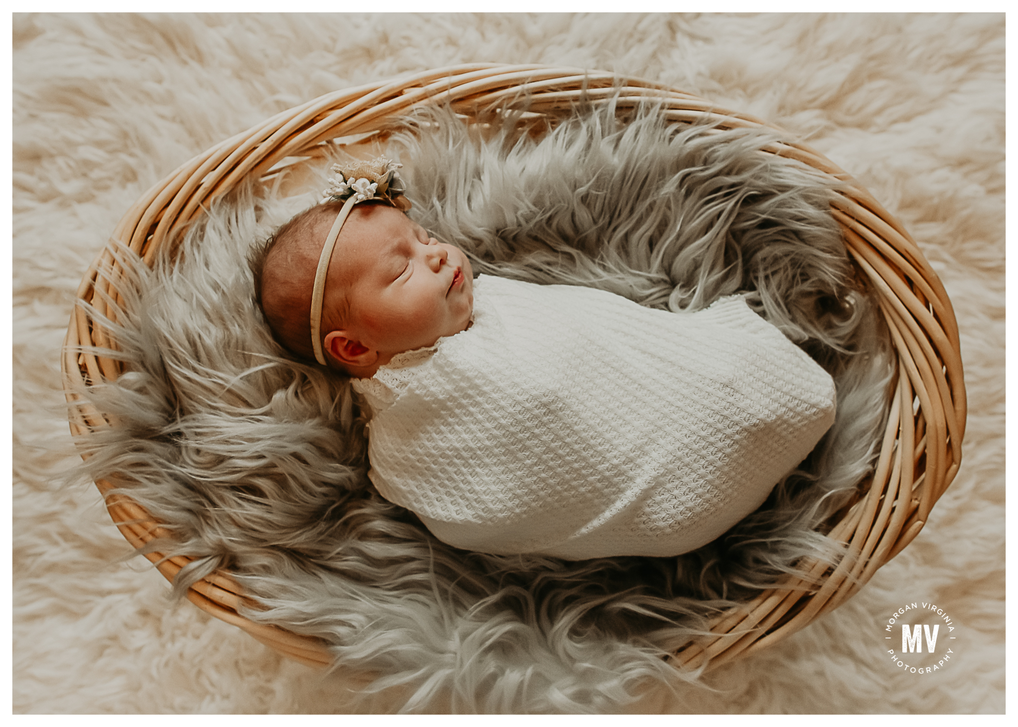lily in home newborn photographer lake orion michigan morgan virginia photography