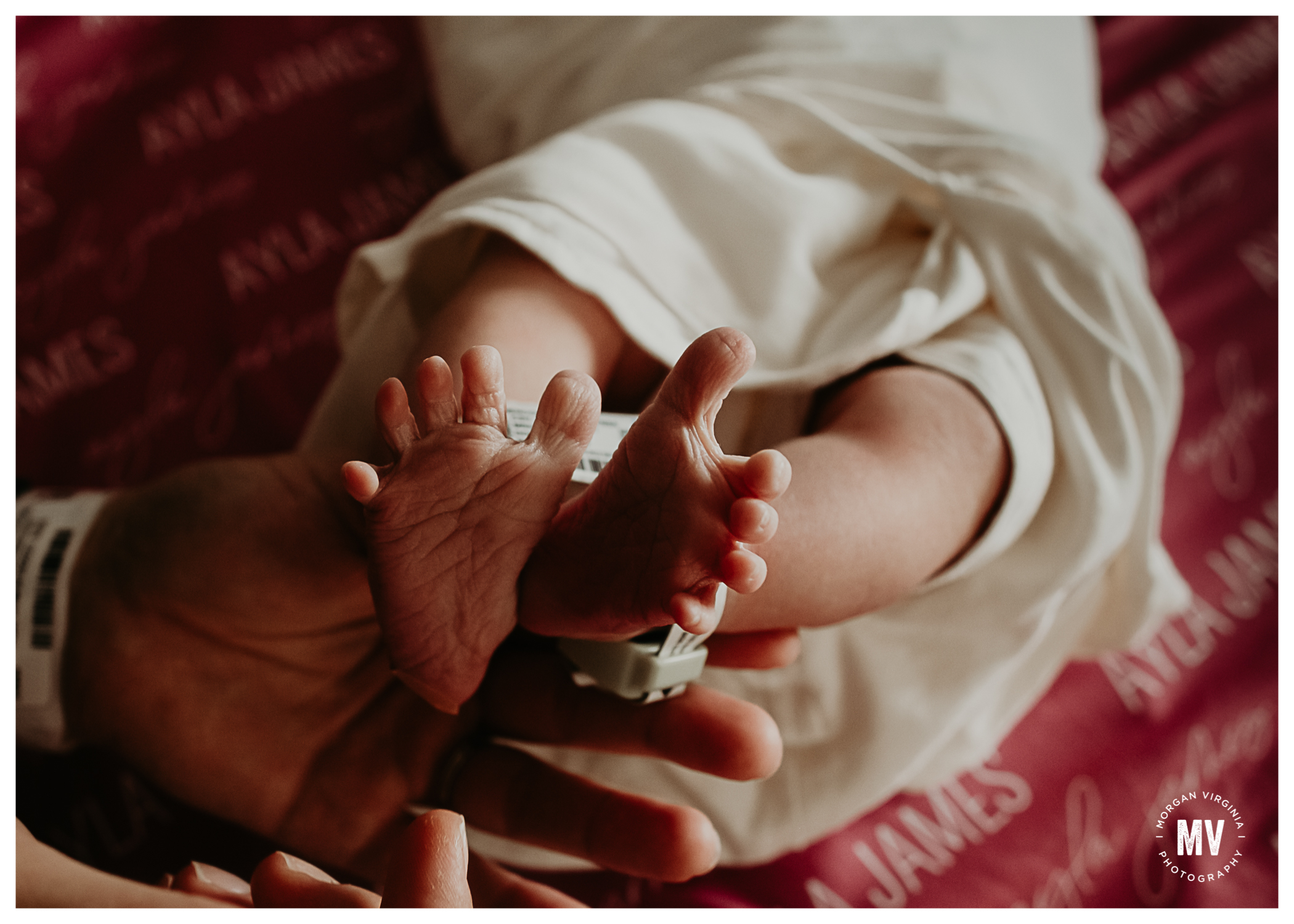 ayla fresh 48 st joseph mercy oakland hospital newborn photographer morgan virginia photography